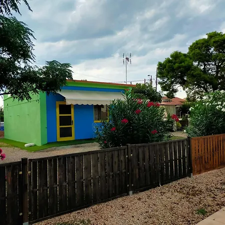 Estudio 