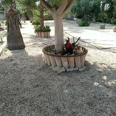 Estudio La Cochera De Sorrapa Deltebre